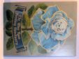 Blue Rose